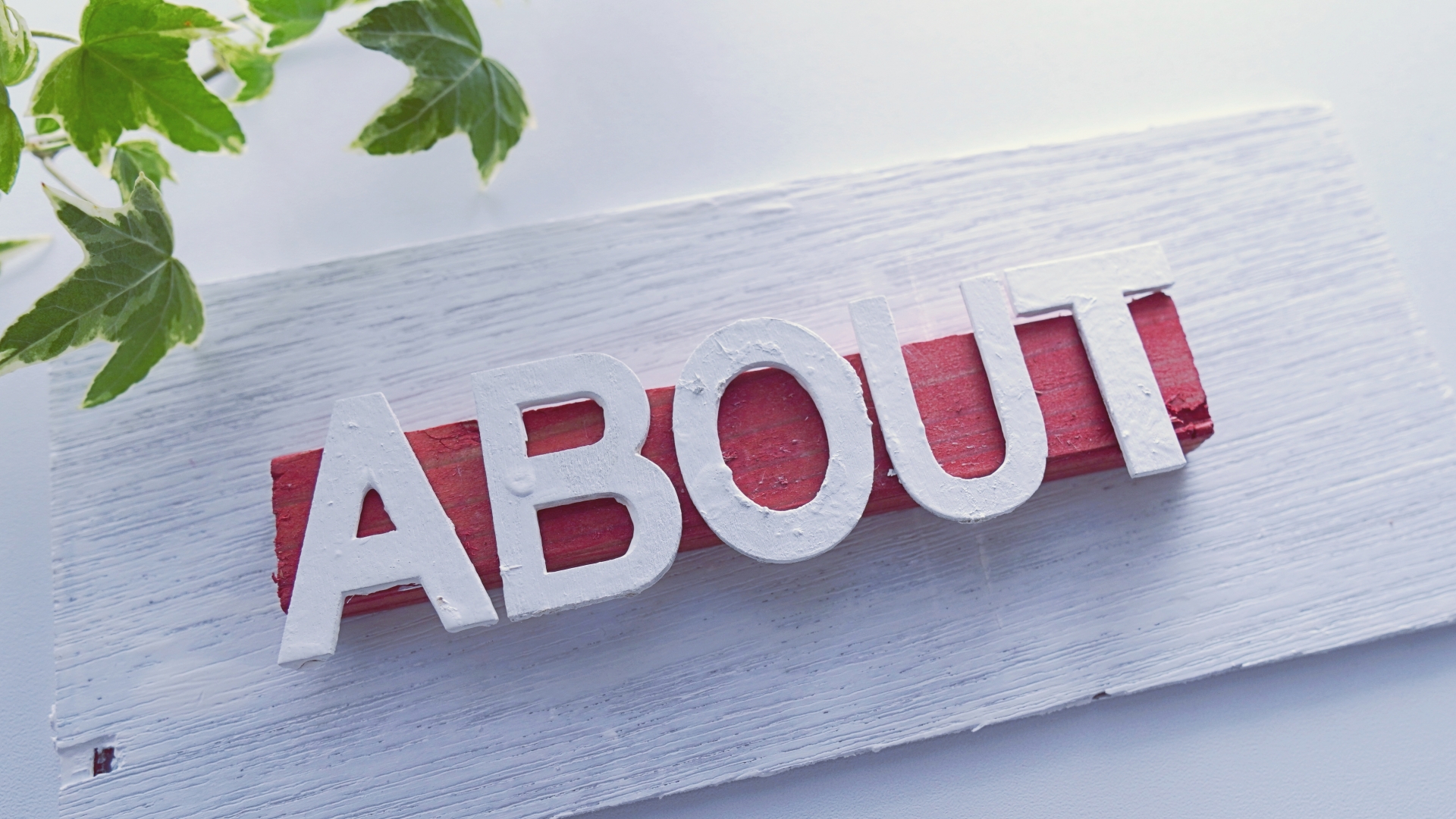 STUDIO5S企業情報